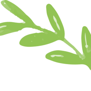 leaves free img